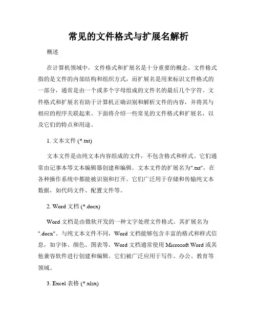 常见的文件格式与扩展名解析