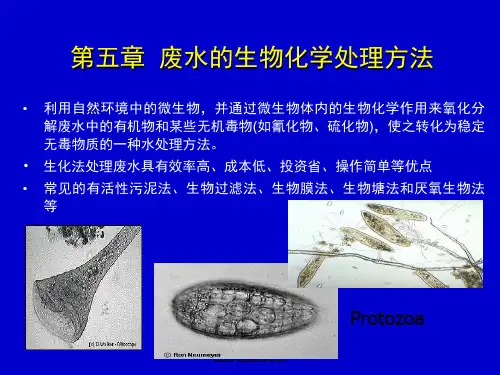11第五章废水的生物化学处理方法