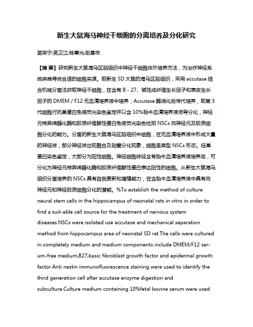 新生大鼠海马神经干细胞的分离培养及分化研究