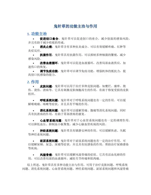 鬼针草的功能主治与作用
