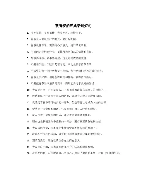 致青春的经典语句短句