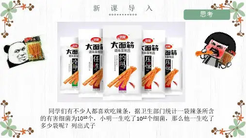 同底数幂的除法课件 2022—2023学年北师大版数学七年级下册