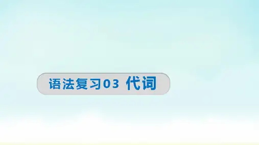 九年级中考英语专题语法复习课件：代词