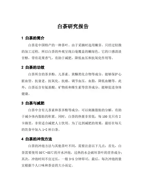 白茶研究报告