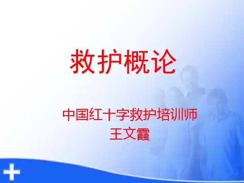 救护概论2