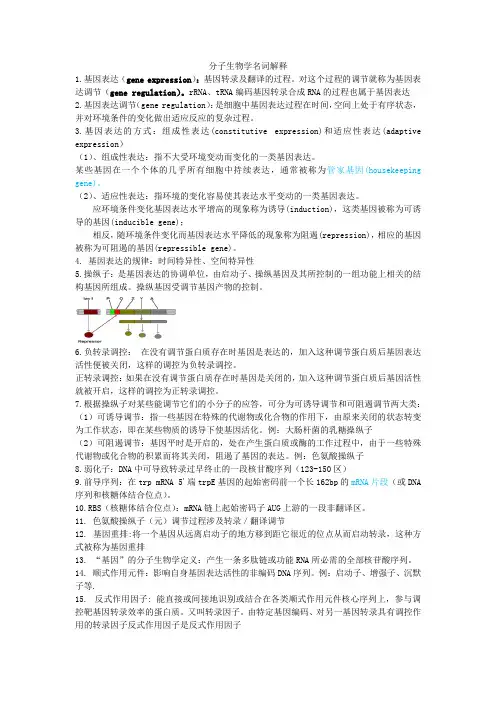 分子生物学名词解释