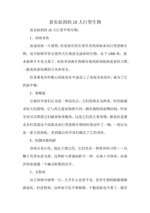 真实拍到的10大巨型生物