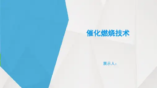 催化燃烧技术