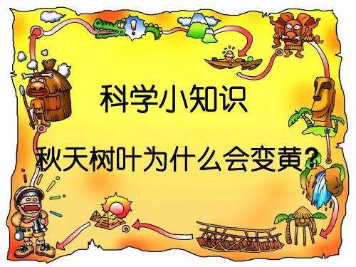 科学小知识PPT课件