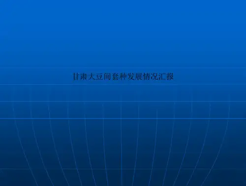 甘肃大豆间套种发展情况汇报