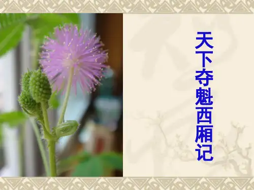 第三章_王实甫及《西厢记》