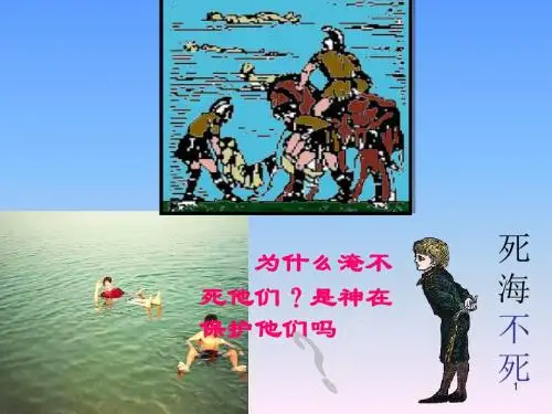 人教版八年级下册 物理 第十章 第1节--浮力(共19张PPT) (1)