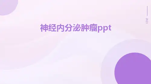 神经内分泌肿瘤ppt