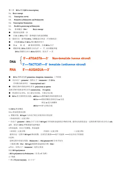 第三章  RNA转录