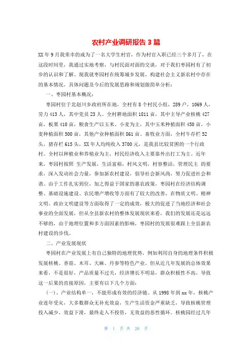 农村产业调研报告3篇