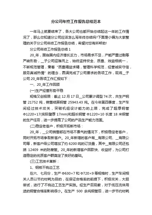 分公司年终工作报告总结范本