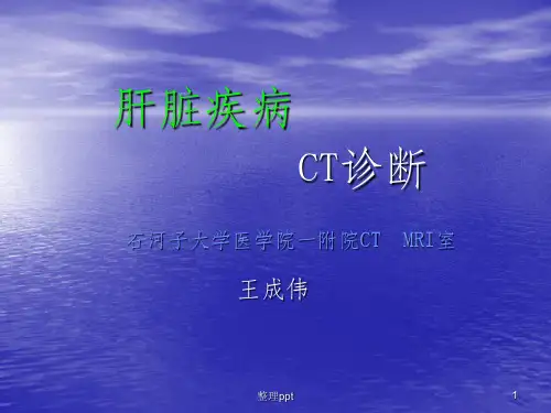 CT肝胆疾病ppt课件
