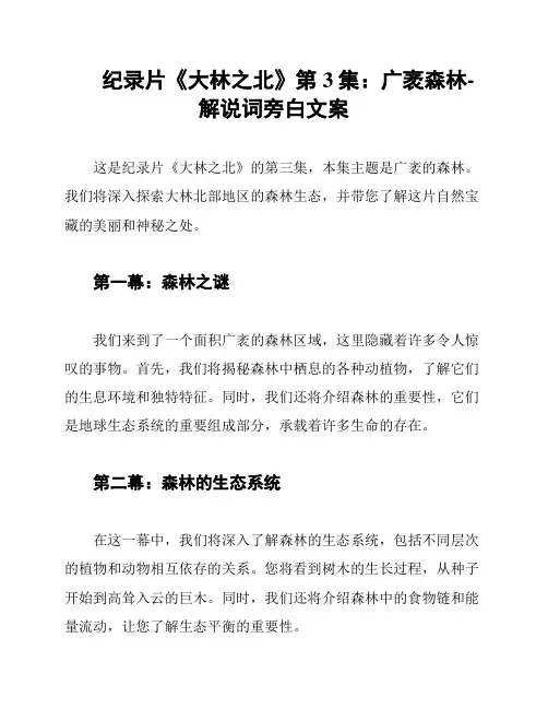 纪录片《大林之北》第3集：广袤森林-解说词旁白文案