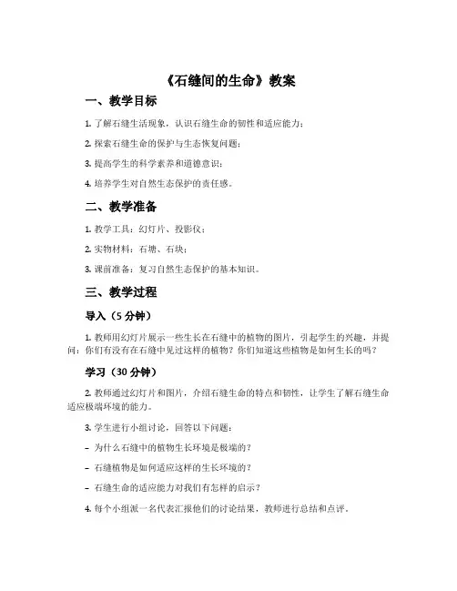 《石缝间的生命》教案