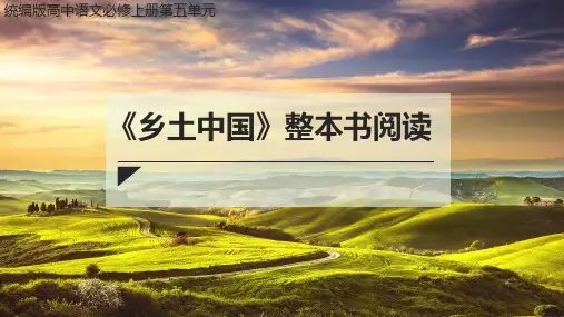 统编版高中语文必修上册 第五单元  整本书阅读《乡土中国》