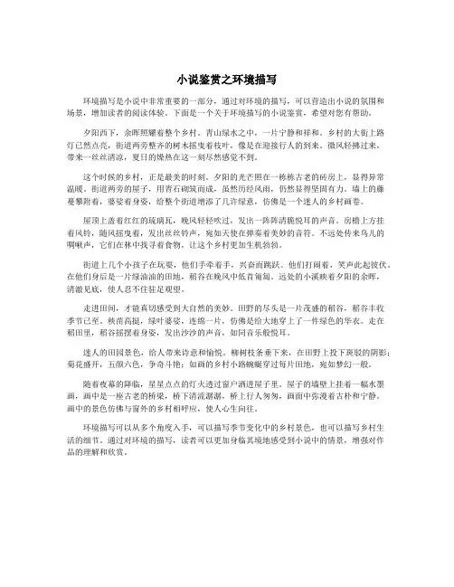 小说鉴赏之环境描写