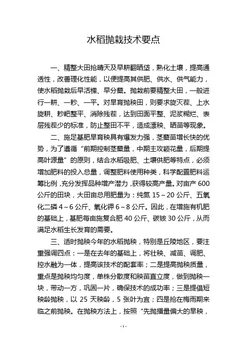 水稻抛栽技术要点
