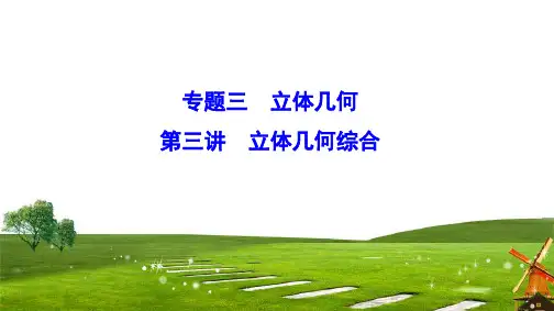 2020新课标高考数学(理)二轮总复习课件：1-3-3 立体几何综合