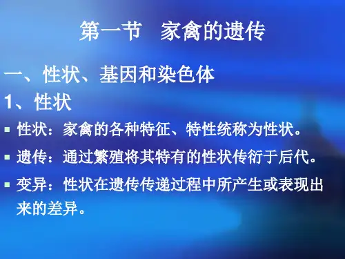 家禽的育种