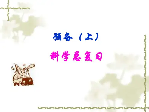 沪教版六年级科学复习A