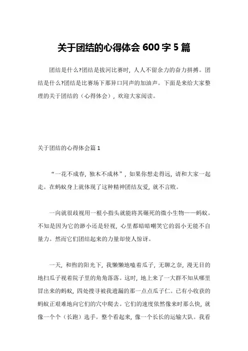 关于团结的心得体会600字5篇