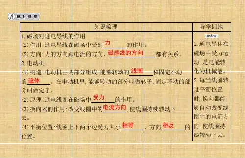 电动机+培优训练   九年级全一册物理