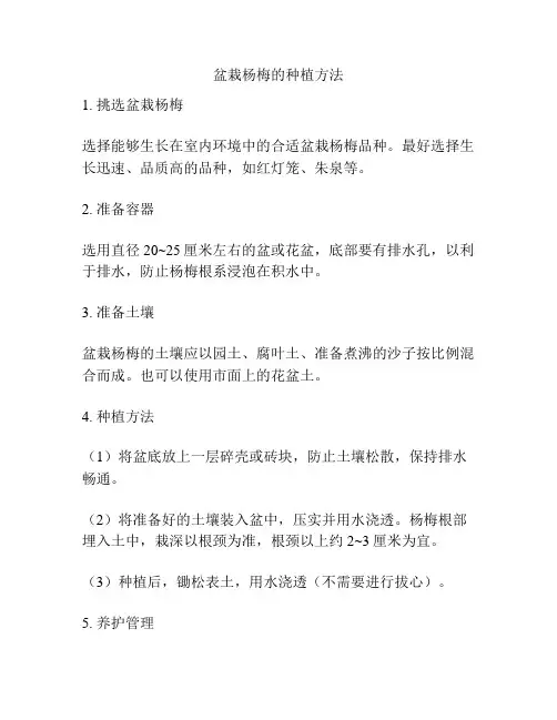 盆栽杨梅的种植方法