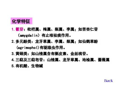 生药学06蔷薇科ppt课件