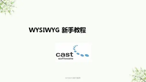 WYSIWYG新手教程课件