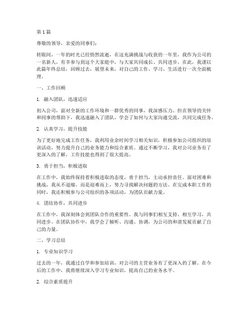 公司新人年终总结范文(3篇)