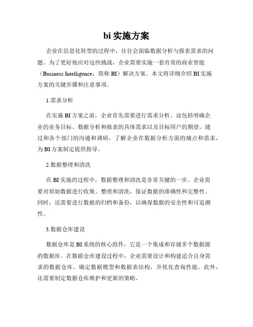 bi实施方案