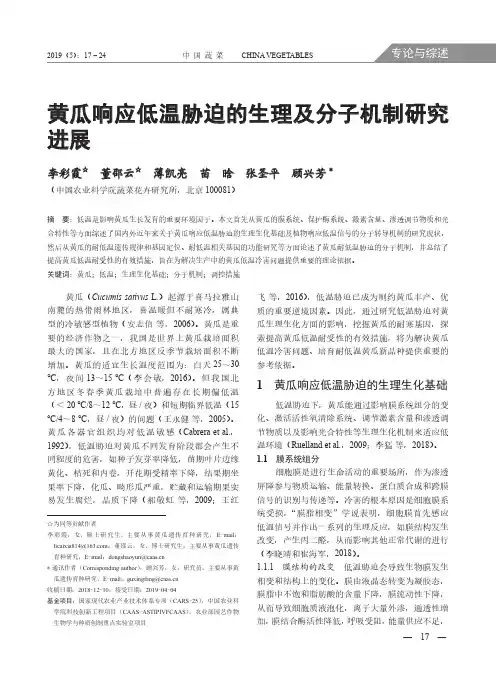 黄瓜响应低温胁迫的生理及分子机制研究进展