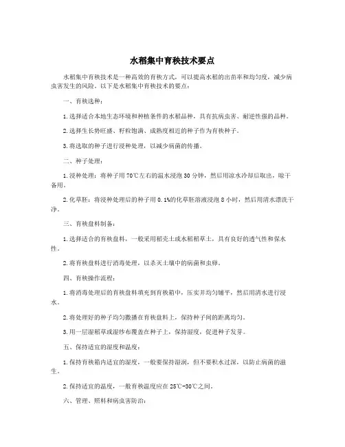 水稻集中育秧技术要点