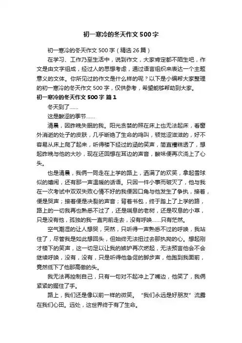 初一寒冷的冬天作文500字（精选26篇）