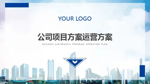 公司项目方案运营方案课程PPT课件