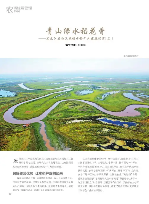 青山绿水稻花香——黑龙江省红卫农场水稻产业发展纪实(上)