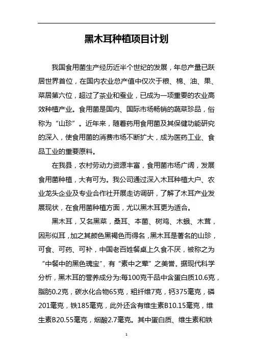 黑木耳种植项目可行性计划