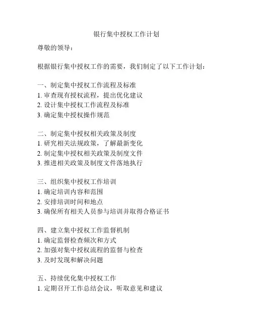 银行集中授权工作计划