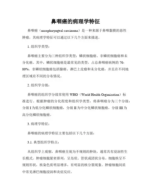鼻咽癌的病理学特征