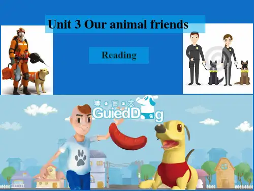 牛津上海英语七年级上册 Unit3reading(共72张PPT)