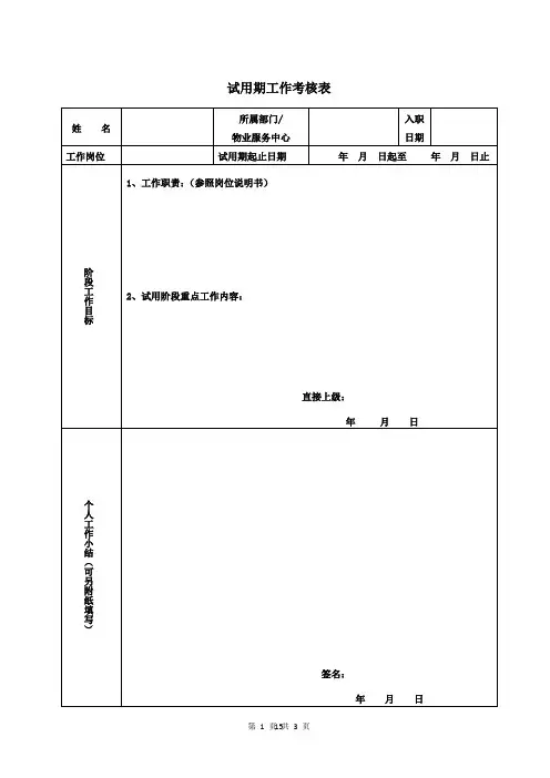 试用期工作考核表