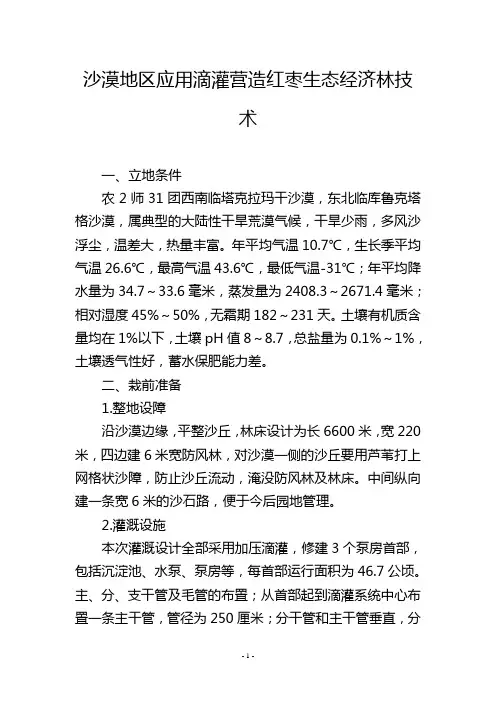 沙漠地区应用滴灌营造红枣生态经济林技术