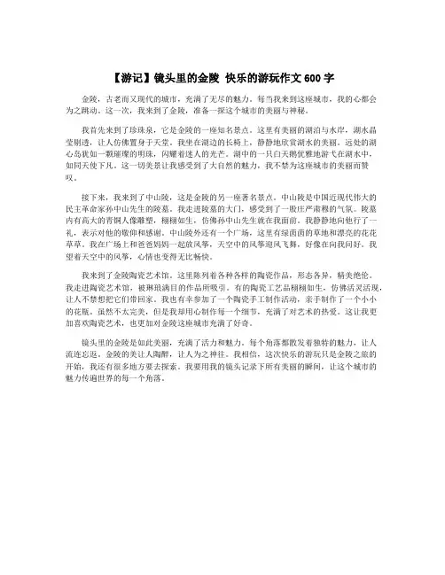 【游记】镜头里的金陵 快乐的游玩作文600字