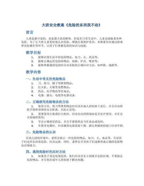 大班安全教案《危险的东西我不动》