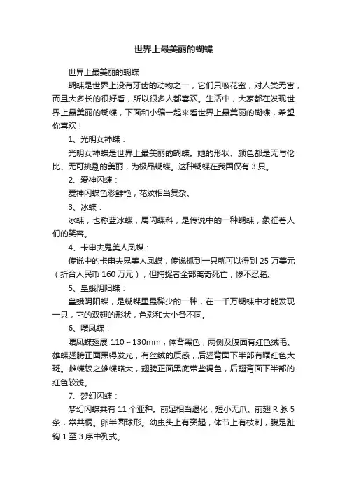 世界上最美丽的蝴蝶